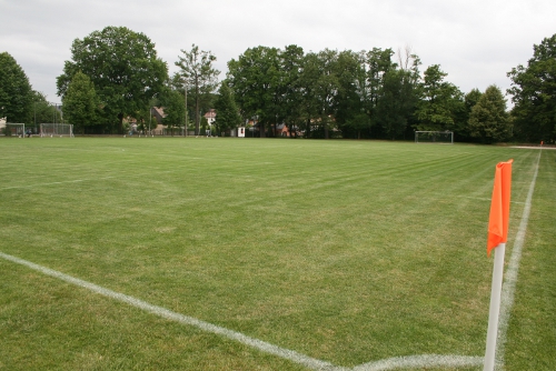 nebenplatz-sfzdb