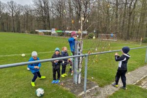 Eierbaum im Sportzentrum